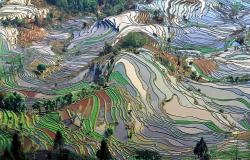 Culture Shift: Redirecting humanity’s path to a flourishing future Culture Shift: Redirecting humanity’s path to a flourishing future