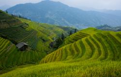 Is the Lewis Model of Economic Development Still Relevant to Developing Countries? Is the Lewis Model of Economic Development Still Relevant to Developing Countries?