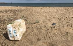 Plastics in Oceans are Mounting, but Evidence on Harm is Surprisingly Weak Plastics in Oceans are Mounting, but Evidence on Harm is Surprisingly Weak