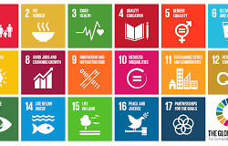 Land Rights and the SDGs: Is Progress on the Ground all it seems to be in the Political Arena? Land Rights and the SDGs: Is Progress on the Ground all it seems to be in the Political Arena?