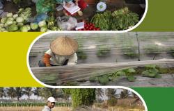 How to design food, land and water policies to address hunger and climate change in today’s political economy How to design food, land and water policies to address hunger and climate change in today’s political economy