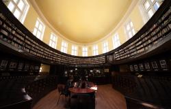 Academia has a Gender Equality Problem. Here's How to Fix It Academia has a Gender Equality Problem. Here's How to Fix It