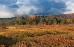 Five Maps that Reveal the World’s Remaining Wilderness Five Maps that Reveal the World’s Remaining Wilderness