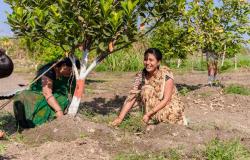 A roadmap for global health diplomacy by India in the era of climate change A roadmap for global health diplomacy by India in the era of climate change