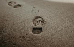 The Trouble With How We Define Intelligence