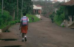 How Decolonial and Learner-Centred are the Competency-Based Education Policies in Africa? Reflections on Kenya's Experience How Decolonial and Learner-Centred are the Competency-Based Education Policies in Africa? Reflections on Kenya's Experience
