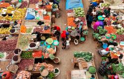 Africa has a New Agenda for its Next Decade of Agrifood Systems Transformation. Now What? Africa has a New Agenda for its Next Decade of Agrifood Systems Transformation. Now What?