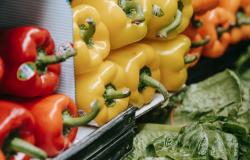 Why Global Food Prices are Higher Today than for most of Modern History Why Global Food Prices are Higher Today than for most of Modern History