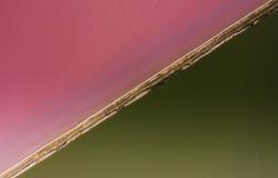 Hybrid Governance Beyond the Liberal-Illiberal Dichotomy: EU–BRICS in Global Power Shifts