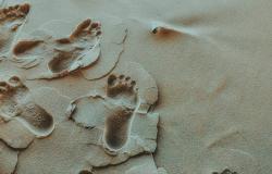 Call for Policy Insights Papers - Tracing the Future(s) Call for Policy Insights Papers - Tracing the Future(s)