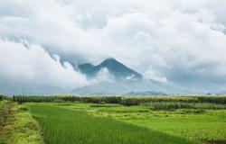 Rethinking premium support for climate protection Rethinking premium support for climate protection