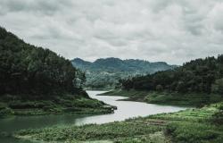 The Case for Strengthening Indonesia–UAE Relations Through the Tropical Forest Forever Facility (TFFF) The Case for Strengthening Indonesia–UAE Relations Through the Tropical Forest Forever Facility (TFFF)