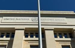 Renewal of the UN Requires Investment and Democratic Reform