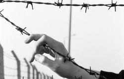 No “Nice-to-Have”: European Support to Critical Civil Society and Free Media No “Nice-to-Have”: European Support to Critical Civil Society and Free Media