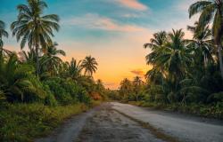 We need an EU-ASEAN Trade Deal during the COVID-19 Pandemic to Avert an Unprecedented Humanitarian Crisis We need an EU-ASEAN Trade Deal during the COVID-19 Pandemic to Avert an Unprecedented Humanitarian Crisis