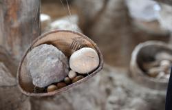 5 Research Articles on Inequality 5 Research Articles on Inequality