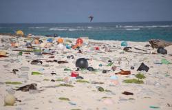 Designing New Ways to Make Use of Ocean Plastic Designing New Ways to Make Use of Ocean Plastic