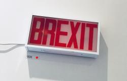 Brexit Disaster Narrative: Whose Interest Does it Serve? Brexit Disaster Narrative: Whose Interest Does it Serve?