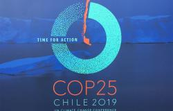COP 25 - Domestic Divisions Overshadow Climate Prospects