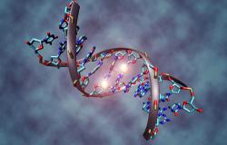 We need to talk about Big Data and Genomics. Here's Why – and How We need to talk about Big Data and Genomics. Here's Why – and How