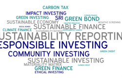 Sustainable finance: the rise of the “E” in ESG Sustainable finance: the rise of the “E” in ESG