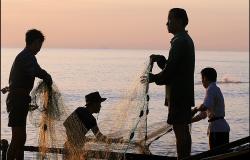 Is EU ‘ Carding Forcing Vietnam to Address Illegal Fishing? Is EU ‘ Carding Forcing Vietnam to Address Illegal Fishing?