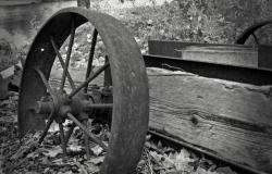 The Internet is Rotting – Let’s Embrace It The Internet is Rotting – Let’s Embrace It