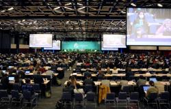 On thin ice: The Post-2020 Global Biodiversity Framework negotiations at COP15