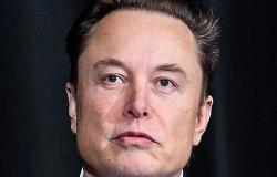 Musk’s support for the extreme right points to the necessity of democratic transformation – in Germany and beyond Musk’s support for the extreme right points to the necessity of democratic transformation – in Germany and beyond