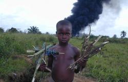 Responsible Development in Nigeria: Addressing Environmental and Social Damage Responsible Development in Nigeria: Addressing Environmental and Social Damage