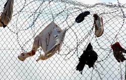 European Asylum Crisis Summer Update European Asylum Crisis Summer Update