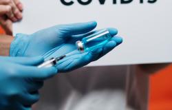 Can Big Countries Realistically Eliminate COVID-19 without a Vaccine? Four Experts Discuss