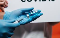 Can Big Countries Realistically Eliminate COVID-19 without a Vaccine? Four Experts Discuss