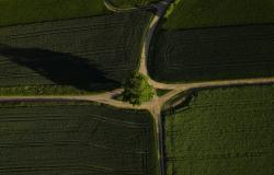 Multilateralism at a Crossroads: Reimagining Cooperation in a Fragmented World Multilateralism at a Crossroads: Reimagining Cooperation in a Fragmented World