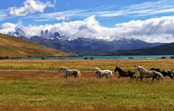 Nature Conservation in the Industrialized Nations - Pioneers, Laggards and a Total Denier Nature Conservation in the Industrialized Nations - Pioneers, Laggards and a Total Denier