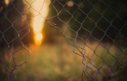 Expanding Circles of Failure: The Rise of Bad Anti-Trafficking, and What to Do About It Expanding Circles of Failure: The Rise of Bad Anti-Trafficking, and What to Do About It