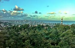 Modern Day Slavery in Brazil: A Report from the Field Modern Day Slavery in Brazil: A Report from the Field