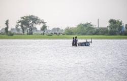 Climate Activism in the Global South: A Call for Clear Agendas Climate Activism in the Global South: A Call for Clear Agendas