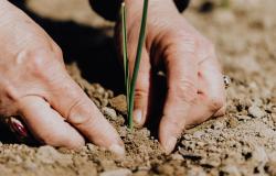 An Interview with James Boyce: Agrarian Societies, Environmental Economics and Climate Change An Interview with James Boyce: Agrarian Societies, Environmental Economics and Climate Change