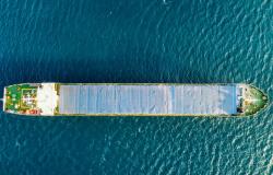 The US-India Pact Reveals the Dangers of Weaponised Commerce