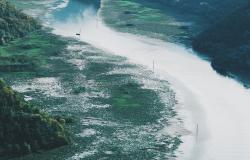 Climate Change, Google and Bangladesh Floods Climate Change, Google and Bangladesh Floods