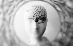 The Rationality Paradox The Rationality Paradox