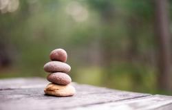 Why Comparative Political Economy should take the Post-Growth Debate Seriously Why Comparative Political Economy should take the Post-Growth Debate Seriously