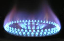 Rejoinder: The lessons from Mexico’s Gas Expansion for India and otherEemerging Economies Rejoinder: The lessons from Mexico’s Gas Expansion for India and otherEemerging Economies