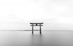 What a China+1 Policy Might Look Like for Japan? What a China+1 Policy Might Look Like for Japan?