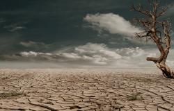 What is the Harm in Forecasting Catastrophe due to Man-Made Global Warming? What is the Harm in Forecasting Catastrophe due to Man-Made Global Warming?