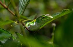 Biodiversity Affects Us All – A Conversation with GGF 2035 fellow Kathrin Ludwig Biodiversity Affects Us All – A Conversation with GGF 2035 fellow Kathrin Ludwig