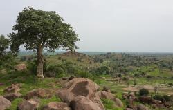 Glimmers of Confidence in Pibor, South Sudan – where the Triple Nexus Grows Unscripted Glimmers of Confidence in Pibor, South Sudan – where the Triple Nexus Grows Unscripted