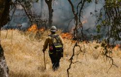 How to Tackle the Climate Crisis and Inequality How to Tackle the Climate Crisis and Inequality