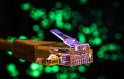 The Digital Industries: Transparency as Mass Deception The Digital Industries: Transparency as Mass Deception